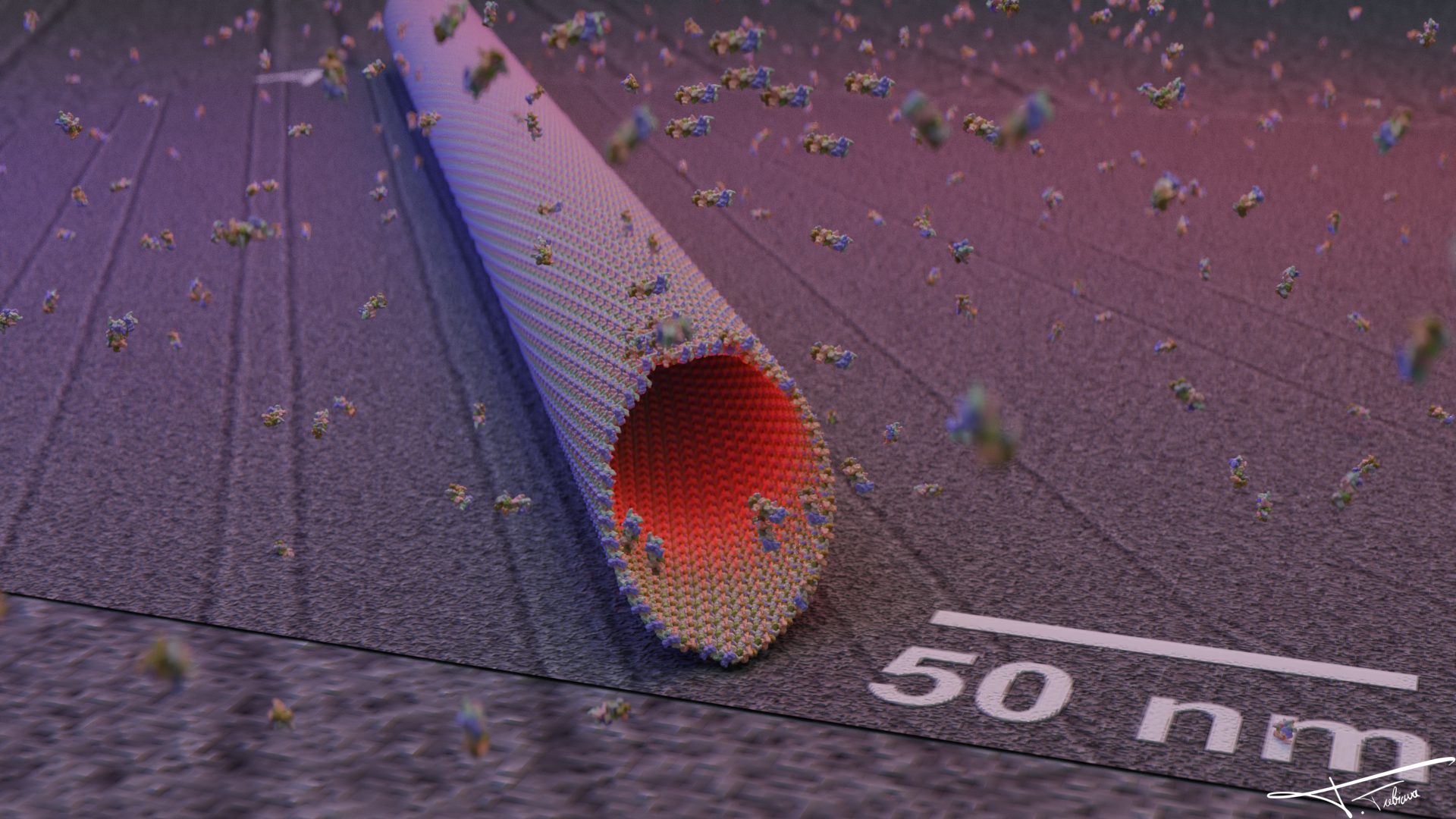 Membrane pore