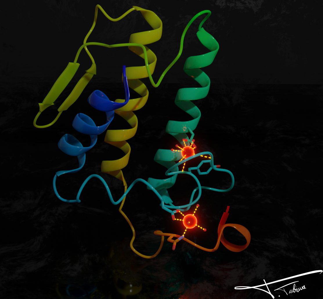 Transmembrane protein — PDB 1POA