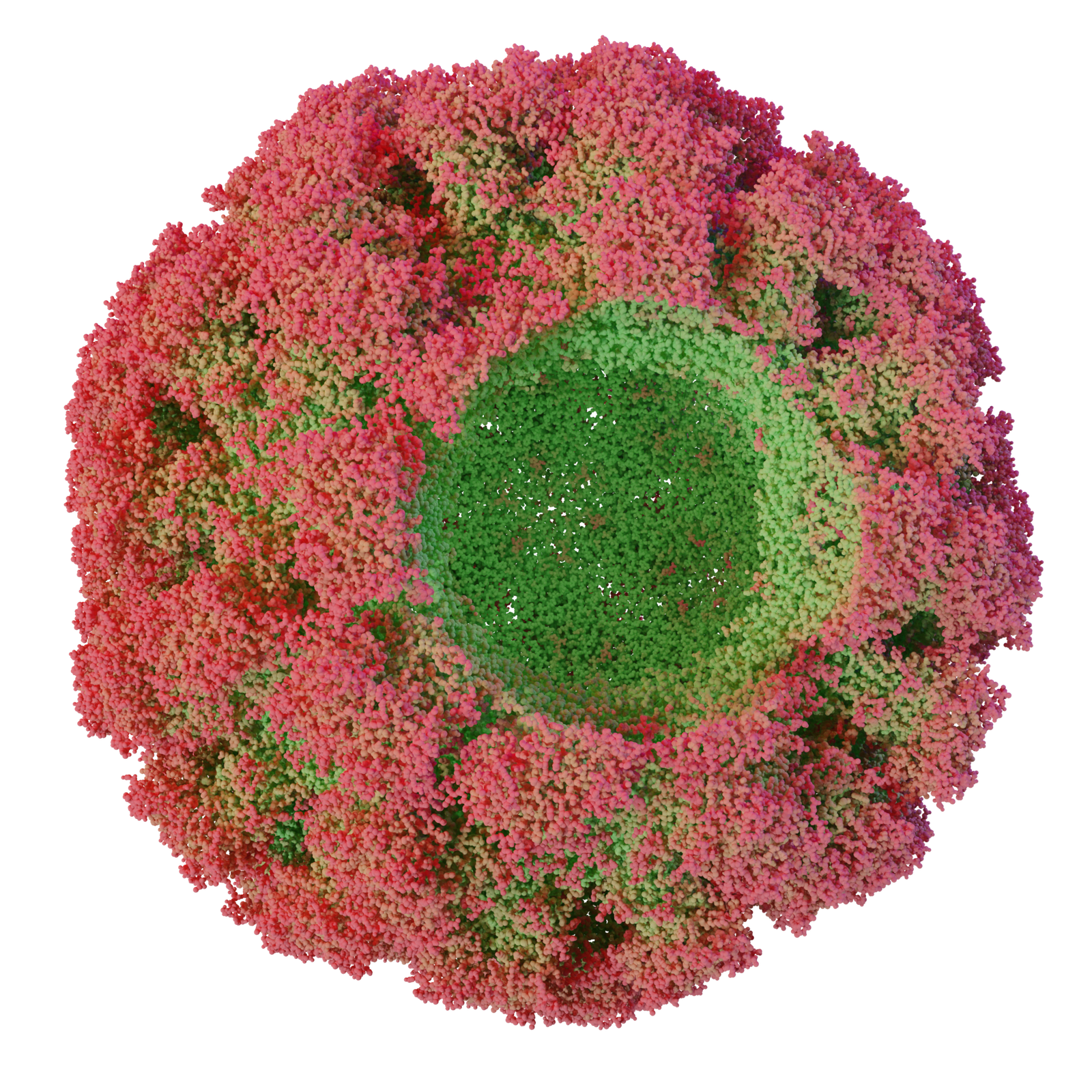Viral capsid — variant