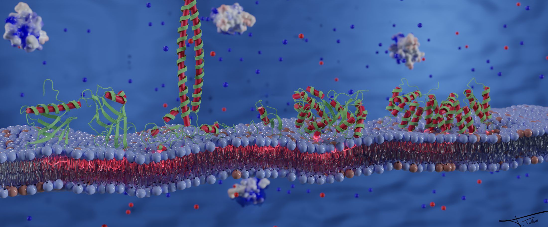 Membrane, 512 GPU cycles