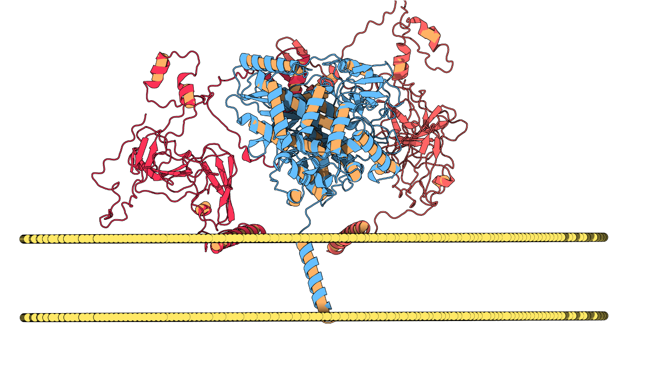 A new dimerization interface in HCV NS5A